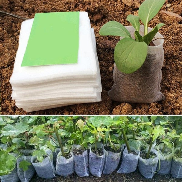 Seedling planter bags