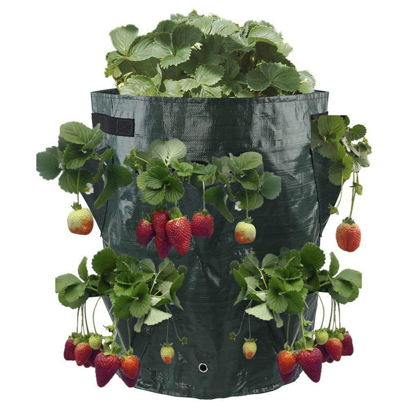 Strawberry planting bag