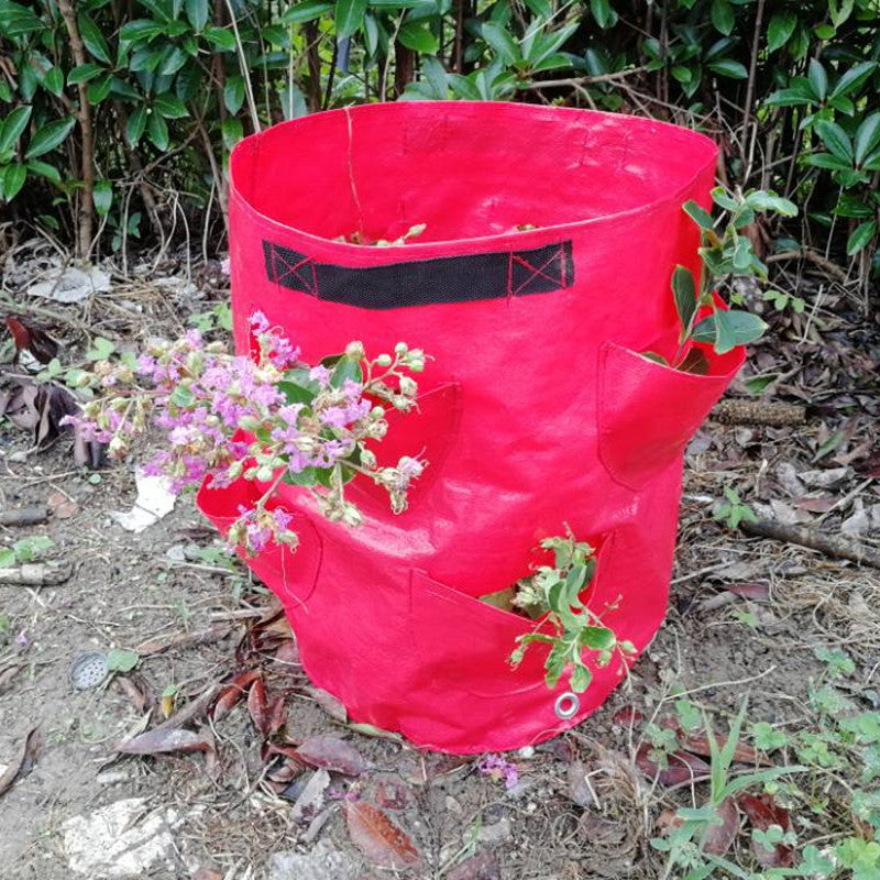 Strawberry planting bag