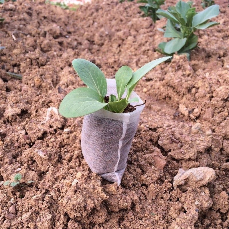 Seedling planter bags
