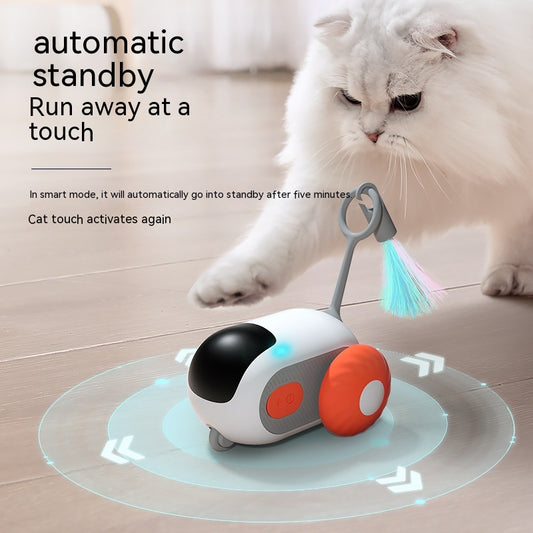 Remote Control Electric Pet Toy