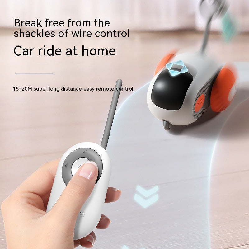 Remote Control Electric Pet Toy