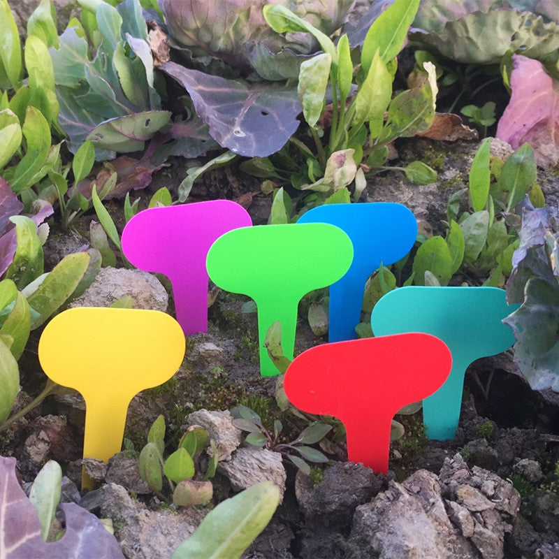T-type Plastic Garden Gardening Label Tag