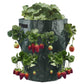 Strawberry planting bag