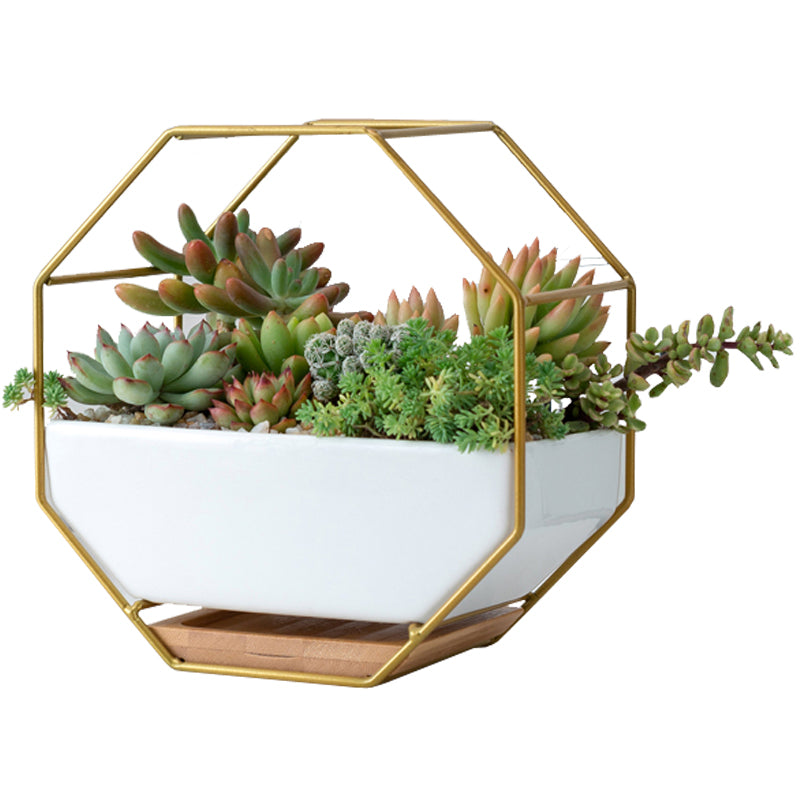 Geometric Wrought Iron with Ceramic Flower Pot
