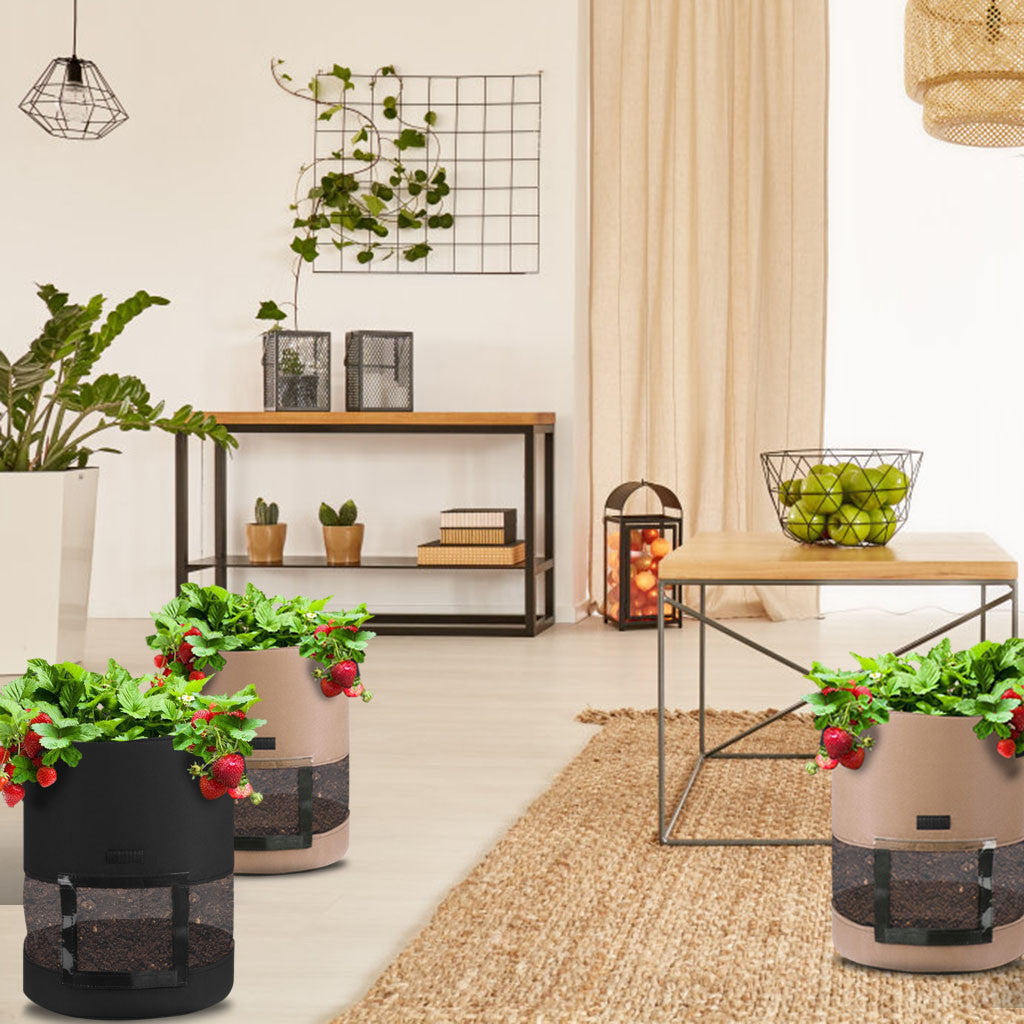 Transparent bottom planter bag