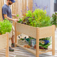 Elevated Wooden Planter Boxes Kit