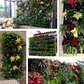 Vertical Outdoor Indoor Planter